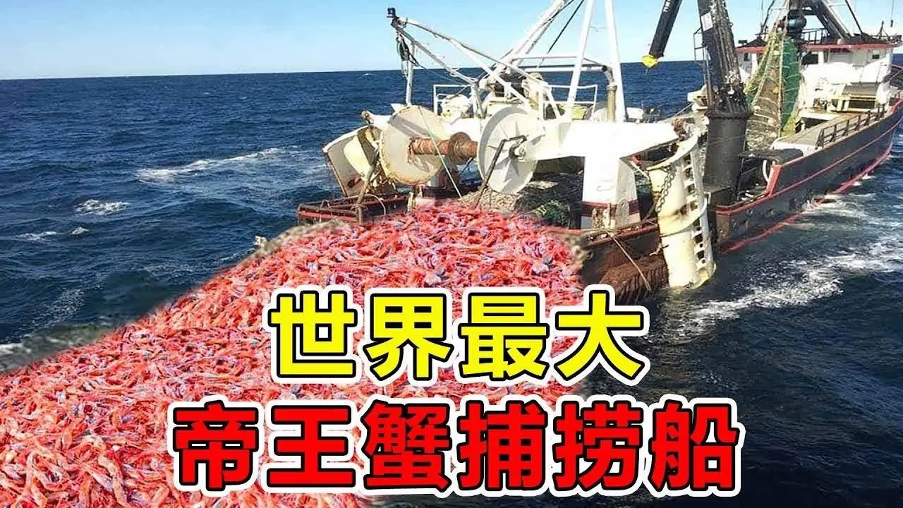 世界上“最巨大”的捕鱼船，长143米造价高达5亿美金，一次可捕捞8000吨鱼获，号称海洋第一杀手#top10 #世界之最 #科普 #腦洞大開 #科技 #航母 #超級工廠 #汽車