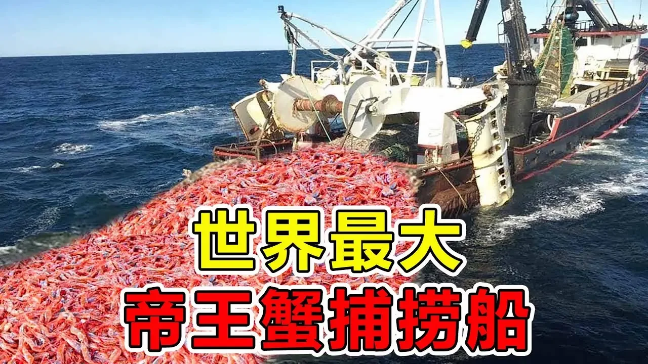 世界上“最巨大”的捕鱼船，长143米造价高达5亿美金，一次可捕捞8000吨鱼获，号称海洋第一杀手#top10 #世界之最 #科普 #腦洞大開 #科技 #航母 #超級工廠 #汽車