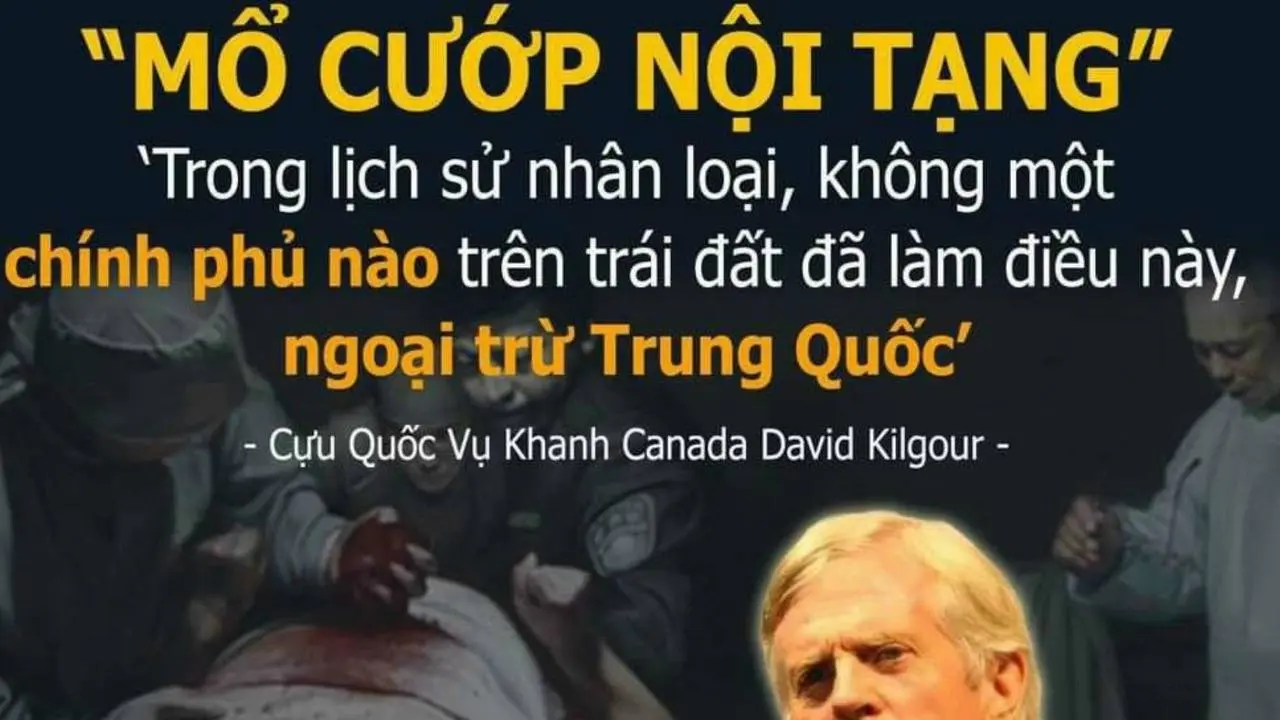 Chân tướng đổi bằng mạng sống của người Thiện lương!