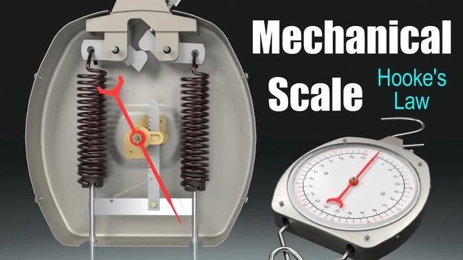 How does a Mechanical Scale work? (Spring Scale)