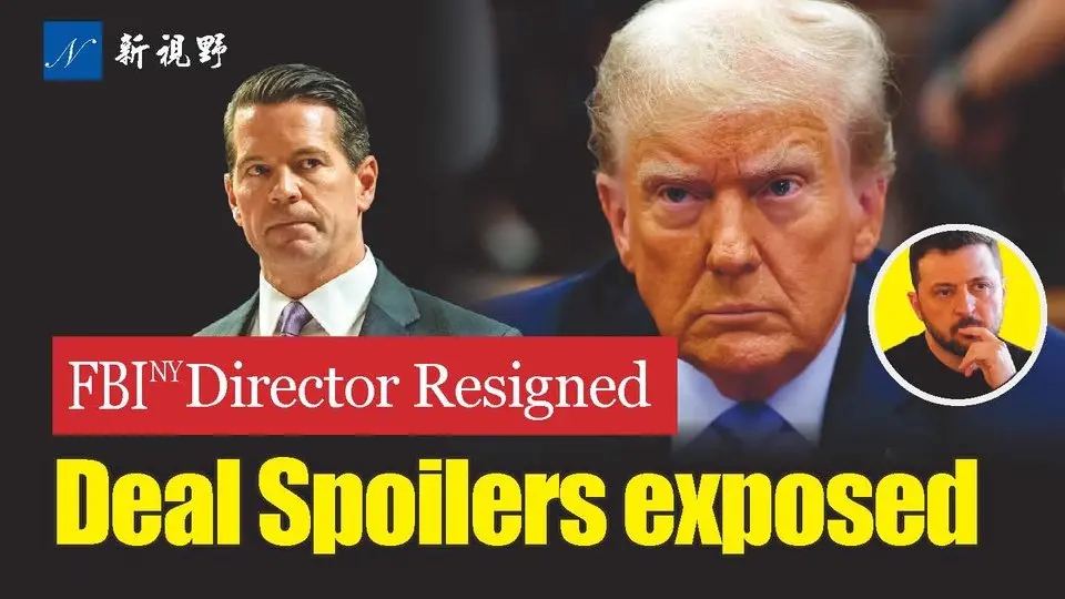 Minerals Agreement spoilers exposed. FBI NY Director resigns.  #Epstein #Zelensky #Trump | New Vision 1720 20250304