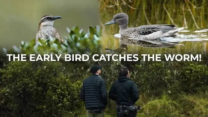 Early Morning Birding in the Andes | Cheep!