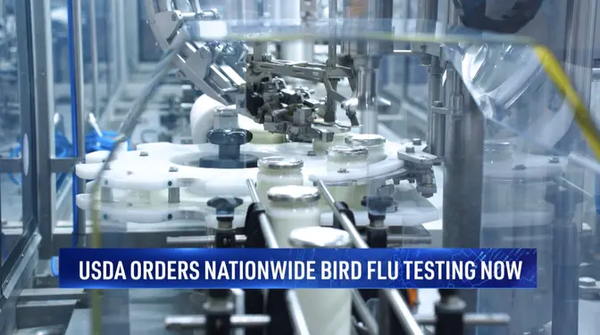 USDA Orders Bird Flu Testing for National Milk Supply