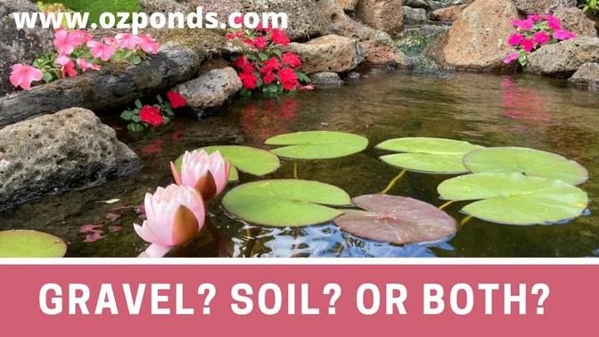 How to plant pond plants