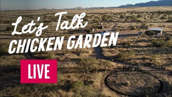 Let’s talk chicken garden LIVE!