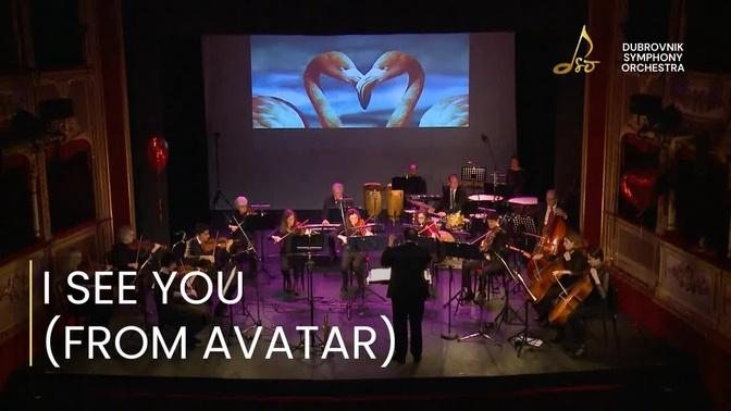 DSO Pop's Ensemble - S  Franglen, J  Horner: I see you (Theme from Avatar)
