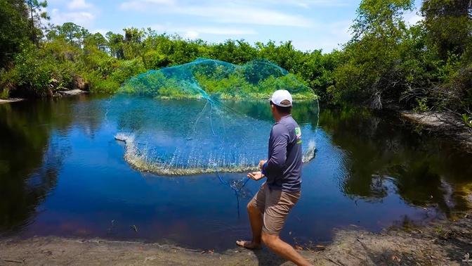 What lives in this little pond? {Let's find out!} Cast Netting 1000's of fish