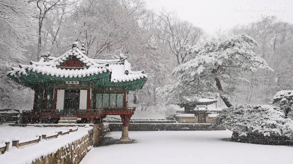 #winterbeauty 창덕궁 후원(비원 秘苑) 설경