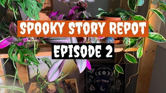 Spooky Repot With Me | Episode 2: Your Stories