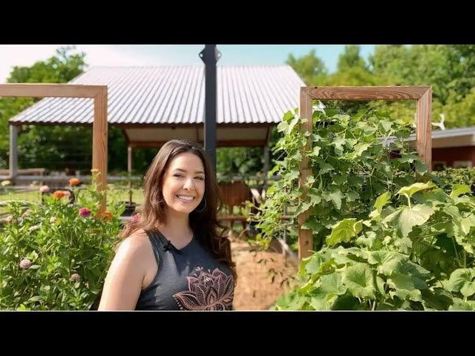 DIY Garden Trellis Solutions for Climbing Vegetables