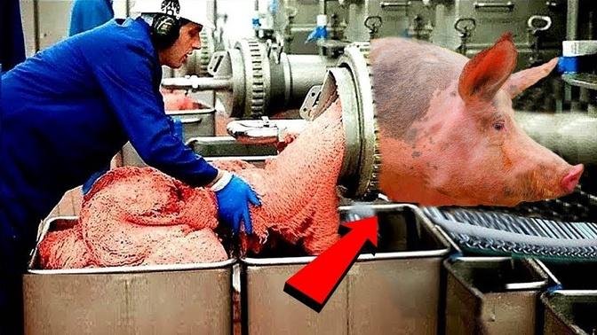 Watch how the sausage is made. I did not know that