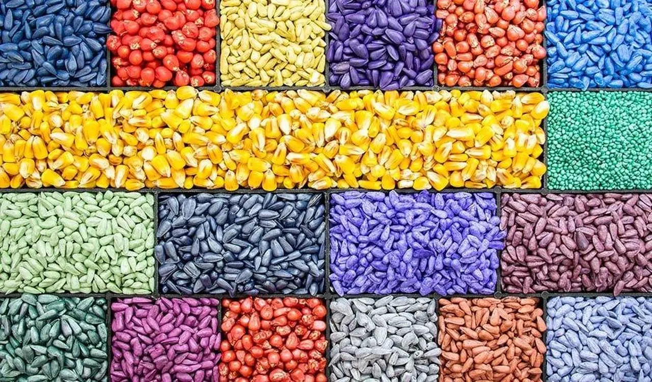 Seed Treatment Market Outlook: Trends and Forecasts, 2024-2032