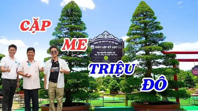 Gặp trực tiếp chủ nhân của cặp me triệu đô đang nắm giữ kỷ lục Việt Nam - ĐỘC LẠ BÌNH DƯƠNG