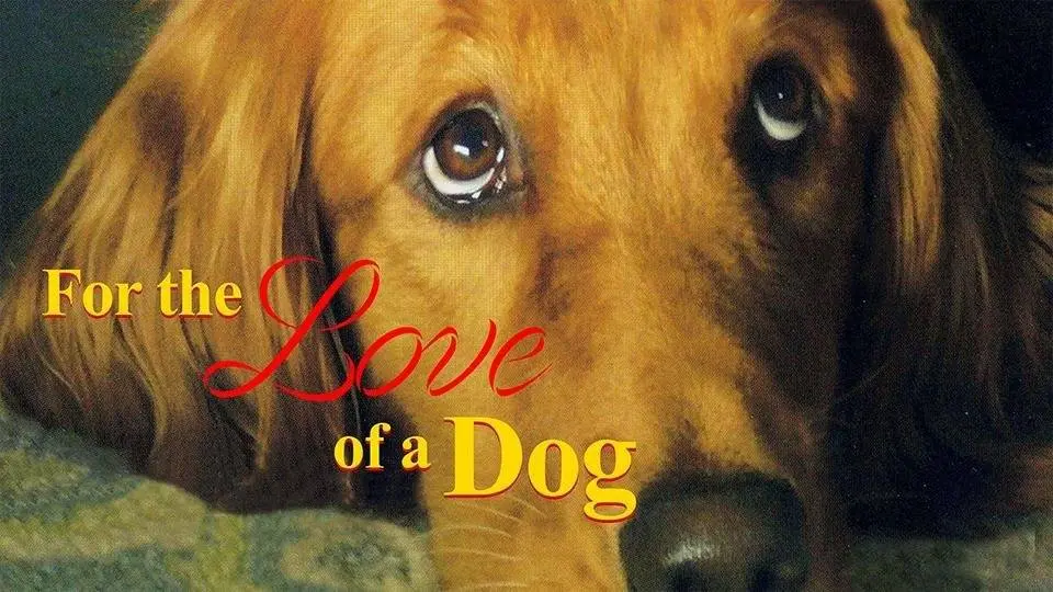For The Love of a Dog