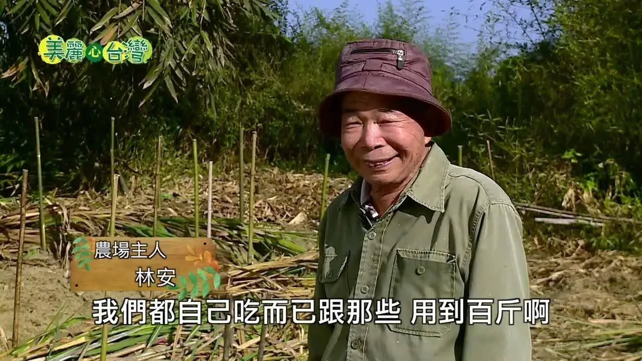 【南投竹山】八旬伯復種天然太白粉原料 葛鬱金｜有機無毒｜205｜美麗心台灣