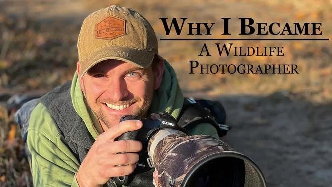 Why I am a Wildlife Photographer