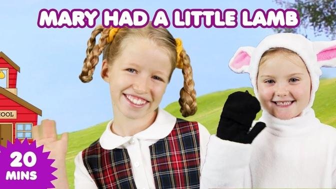 Mary Had a Little Lamb | Nursery Rhymes