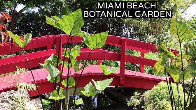 Botanical Garden Tour | Miami Beach