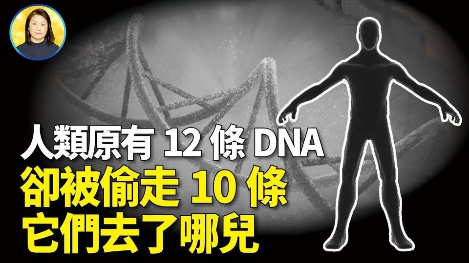 被取走了的10條DNA鏈中包含賦予人類神性的DNA|#信不信由你