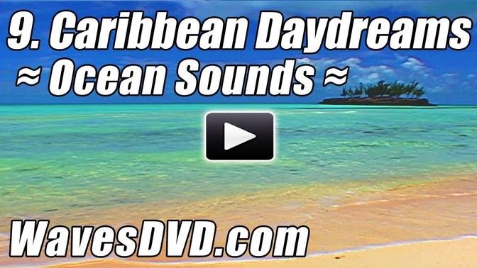 9 - CARIBBEAN DAYDREAMS WAVES DVD six 10 min loopable scenes video relaxing ocean sounds best beach.
