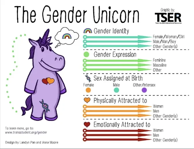 School Uses “Gender Unicorn” To Indoctrinate Students