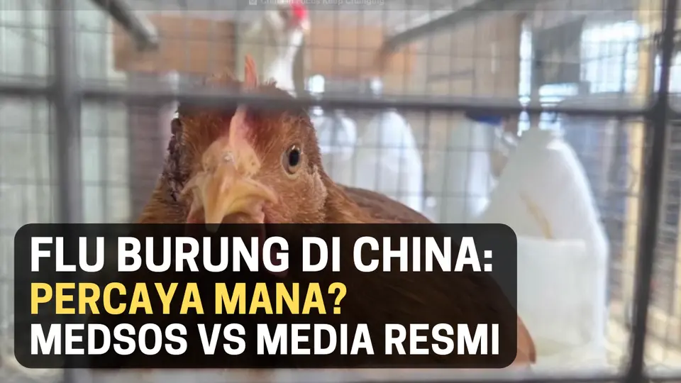 China: Taktik Penutup-nutupan ala Covid19 Digunakan Lagi di Flu Burung? #fluburung #pandemi