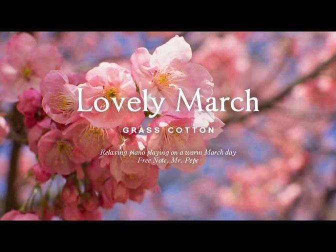 따뜻한 3월의 어느날 편안한 피아노 연주 l GRASS COTTON+