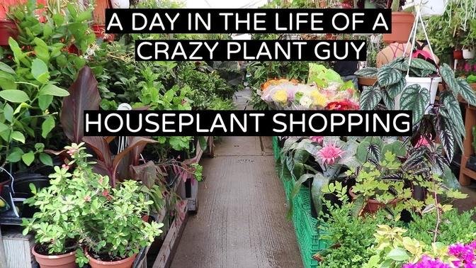 Houseplant Shopping | Day In The Life Of A Crazy Plant Guy