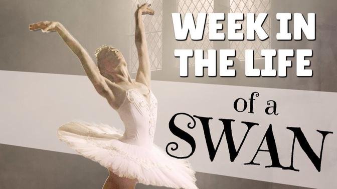 A Week in the Life of a Professional Ballet Dancer: Ft. Zeagoo