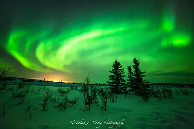Green auroras dance over a winter landscape.