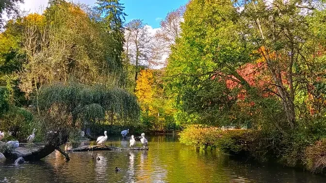 漫步在秋天里🍂🍁 Herbst – Natur erleben 🍁🍂