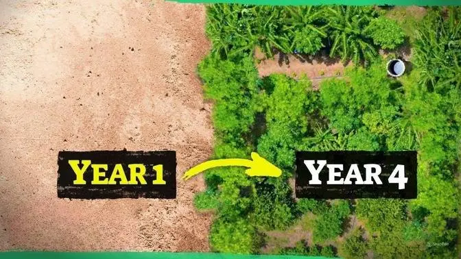 Inside the food forest revolution
