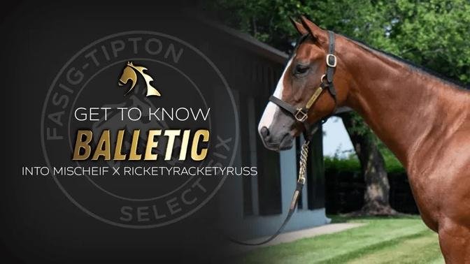 Get to Know Balletic