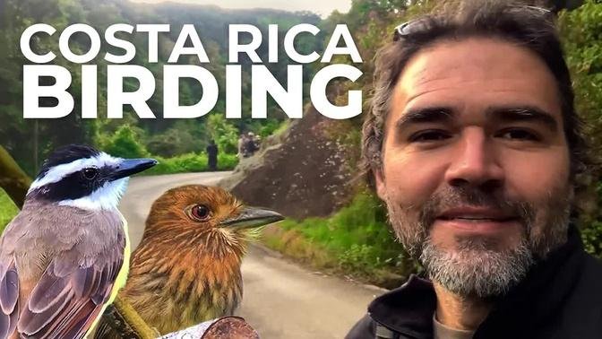 Birding in Costa Rica with Diego | Cheep!