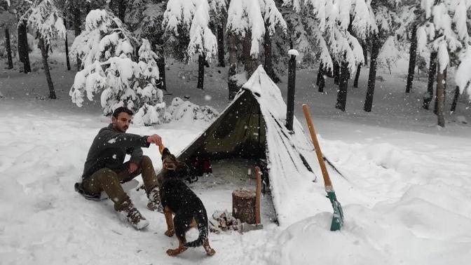Caught in a Storm - Winter Camping In a Snowstorm with My Dog - Bushcraft Trip