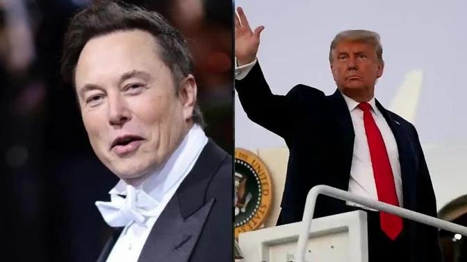Trump arrest: Elon musk says Trump would win 2024 in 'landslide' if put in cuffs | LiveNOW from FOX