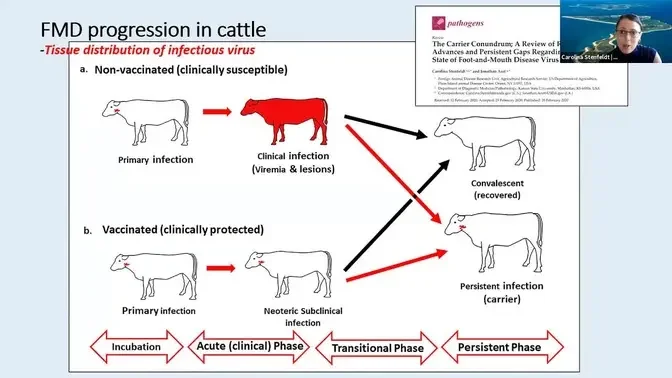 2021 NBAF Scientific Symposium | FMD virus pathogenesis studies at Plum ...