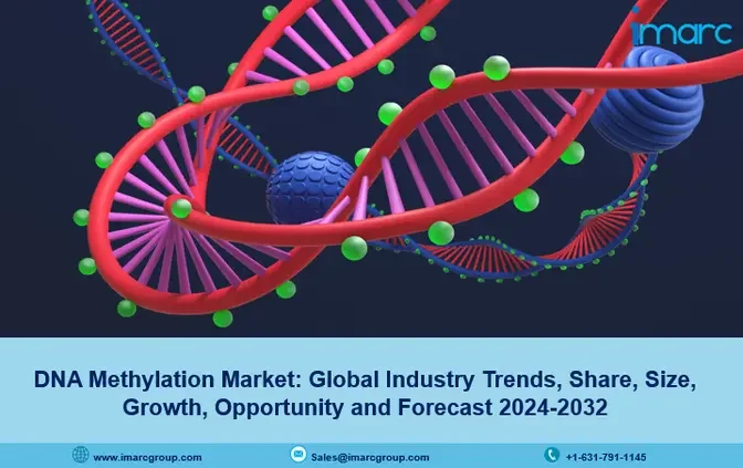 DNA Methylation Market Share, Scope, Growth & Opportunities 2024-2032