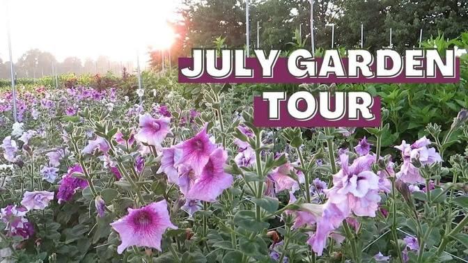 July Garden Tour of Our Cut Flower Field!