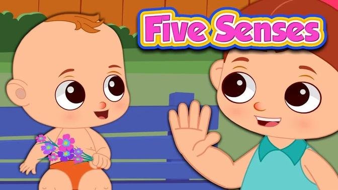 Five Senses Song | JamJammies Nursery Rhymes & Kids Songs | Learning Songs For Children
