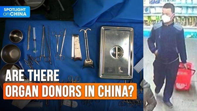 Live organ harvesting is rampant in China; an expert on the explosion of organ transplants 