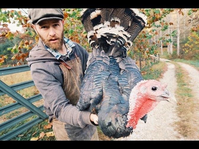 Butchering Turkeys - For the 1st Time
