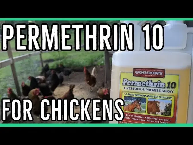 Permethrin 10 for Chickens __Extermination of pestsll