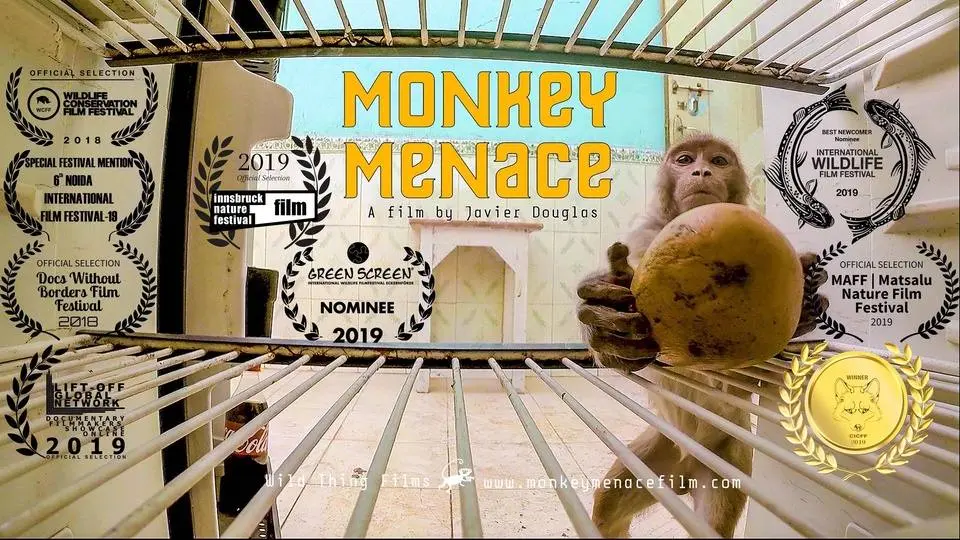 Monkey Menace