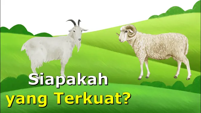 Siapakah yang Terkuat?