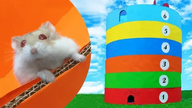 My funny Pet Hamster in 6 level Rainbow Maze !! Obstacle course Round Maze  by Life