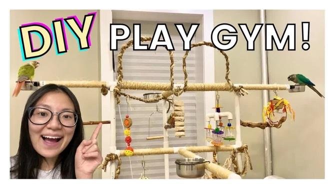 DIY BIRD PLAY GYM/STAND | Easy and Affordable PVC Play Gym For Birds!