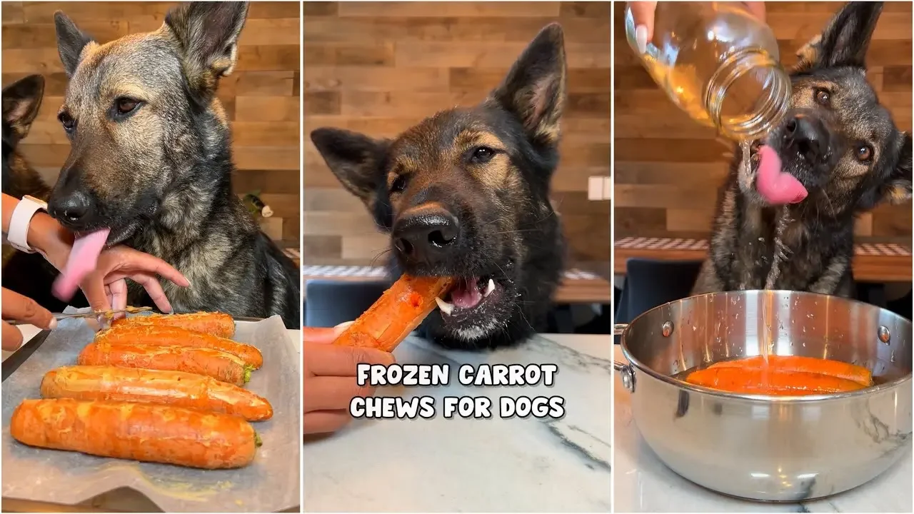 Frozen Carrot Chews For Dogs Recipe🥕🐶