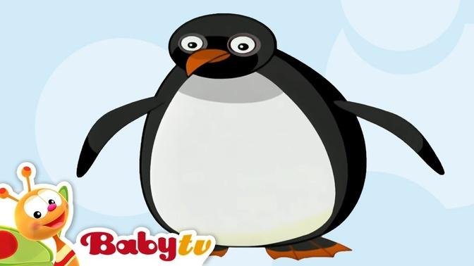 Penguin | Animal Sounds and Names for Kids & Toddlers | BabyTV