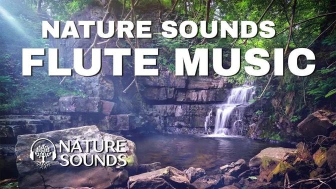 Nature Sounds Forest Sounds Flute Music Sounds Waterfall Nature Relaxing Sounds Water Sounds
